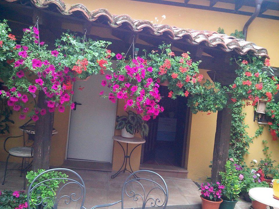 El Cuartelillo Viejo Guest House Polientes Ngoại thất bức ảnh