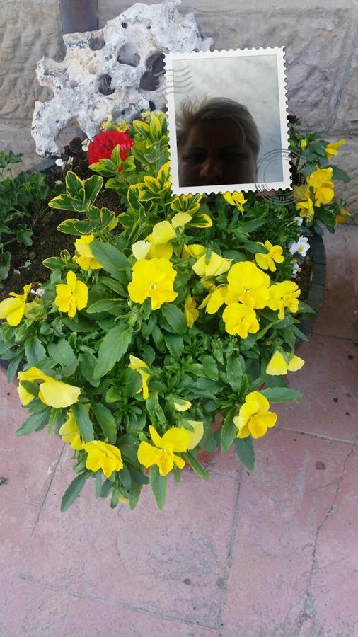 El Cuartelillo Viejo Guest House Polientes Ngoại thất bức ảnh