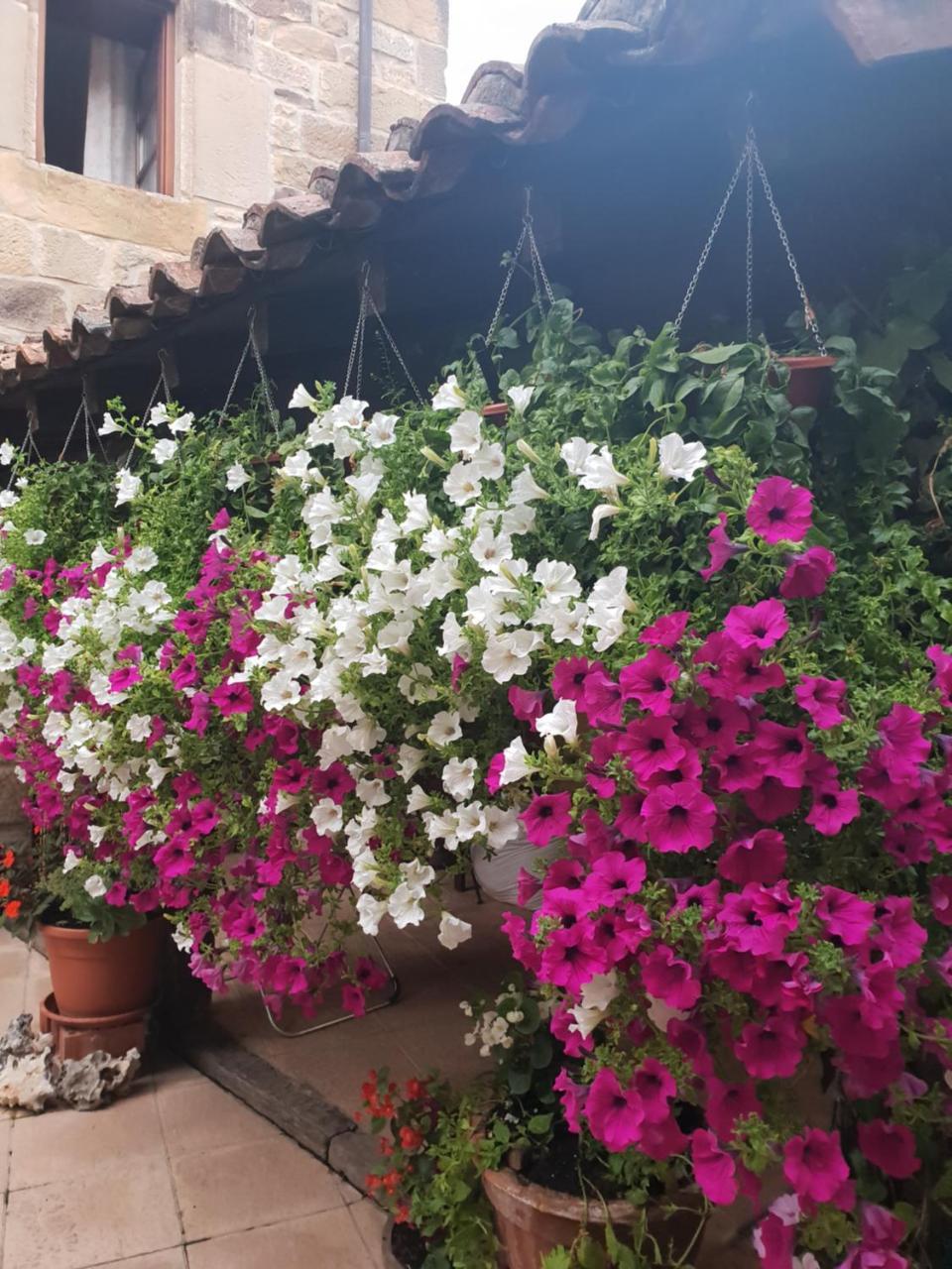 El Cuartelillo Viejo Guest House Polientes Ngoại thất bức ảnh