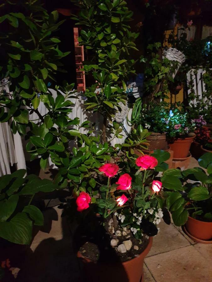 El Cuartelillo Viejo Guest House Polientes Ngoại thất bức ảnh